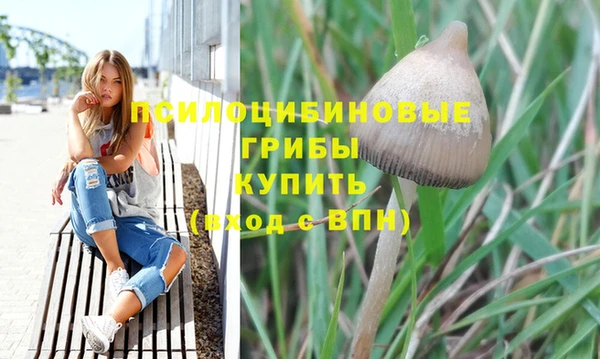 дмт Верхний Тагил