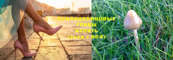 не бодяженный Бородино