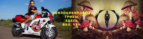 не бодяженный Бородино