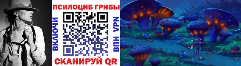Псилоцибиновые грибы GOLDEN TEACHER  Купить  Майкоп 